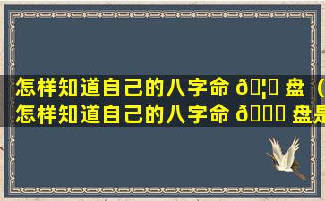 怎样知道自己的八字命 🦉 盘（怎样知道自己的八字命 🐕 盘是否正确）